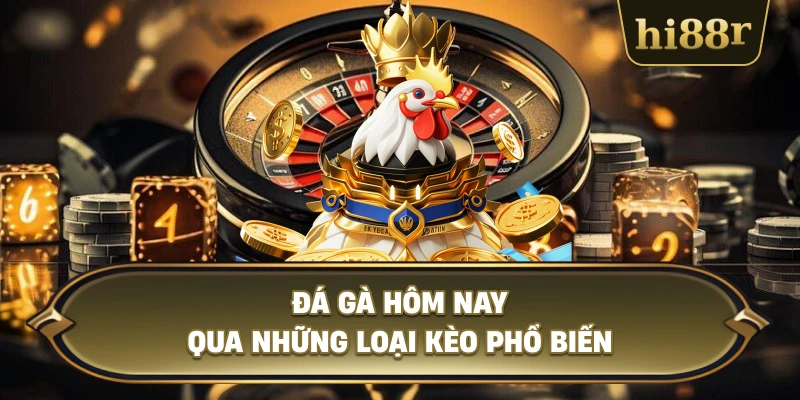 Đá Gà Hôm Nay Qua Những Loại Kèo Phổ Biến