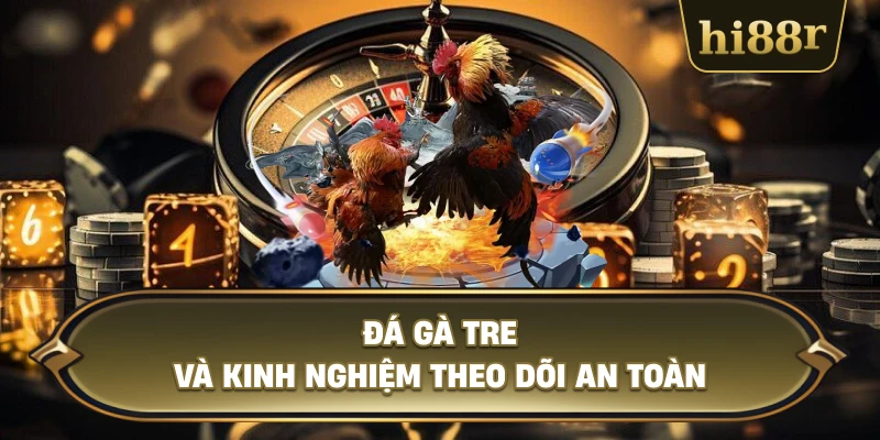 Đá Gà Tre Và Kinh Nghiệm Theo Dõi An Toàn